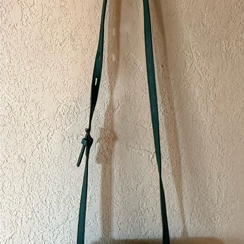 Botkier Green Crossbody Strap Bag